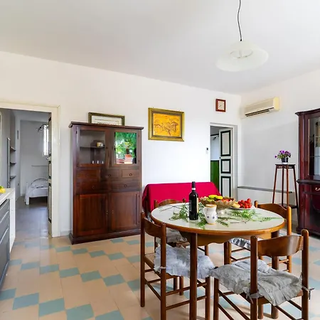 Trilo Di Giuseppe 466 *