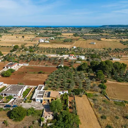 Trilo Di Giuseppe 466 *