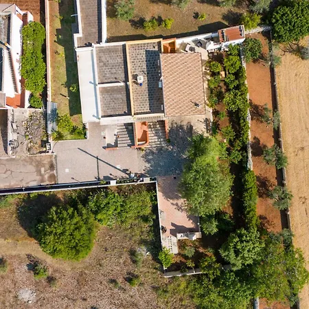 Trilo Di Giuseppe 466